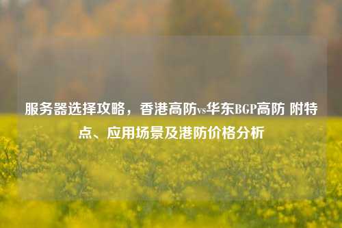 服务器选择攻略，香港高防vs华东BGP高防 附特点、应用场景及港防价格分析