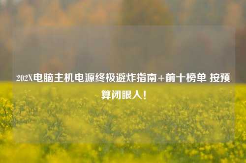 202X电脑主机电源终极避炸指南+前十榜单 按预算闭眼入！