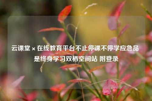 云课堂×在线教育平台不止停课不停学应急品 是终身学习双栖空间站 附登录