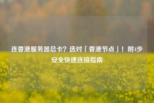 连香港服务器总卡？选对「香港节点」！附4步安全快速连接指南