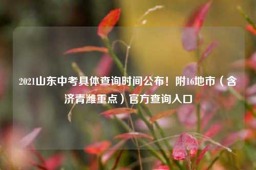 2021山东中考具体查询时间公布！附16地市（含济青潍重点）官方查询入口