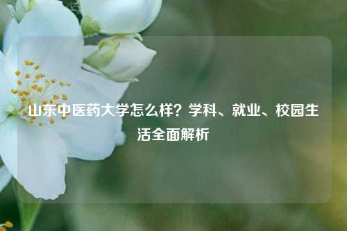 山东中医药大学怎么样？学科、就业、校园生活全面解析