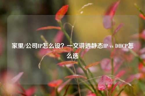 家里/公司IP怎么设？一文讲透静态IP vs DHCP怎么选