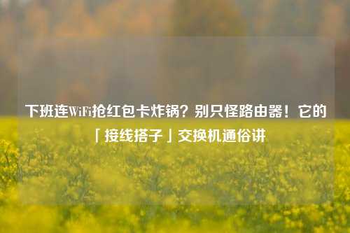 下班连WiFi抢红包卡炸锅？别只怪路由器！它的「接线搭子」交换机通俗讲