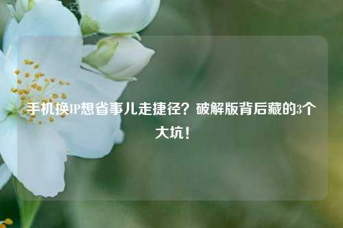 手机换IP想省事儿走捷径？破解版背后藏的3个大坑！
