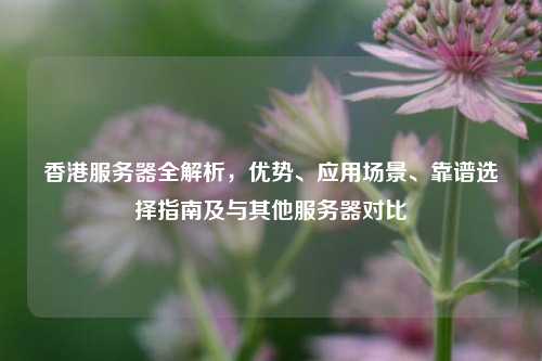 香港服务器全解析，优势、应用场景、靠谱选择指南及与其他服务器对比