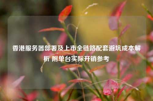 香港服务器部署及上市全链路配套避坑成本解析 附单台实际开销参考