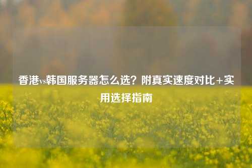 香港vs韩国服务器怎么选？附真实速度对比+实用选择指南