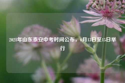 2021年山东泰安中考时间公布，6月13日至15日举行