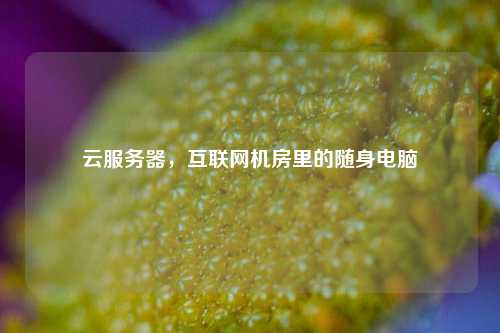 云服务器，互联网机房里的随身电脑