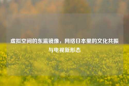 虚拟空间的东瀛镜像，网络日本里的文化共振与电视新形态