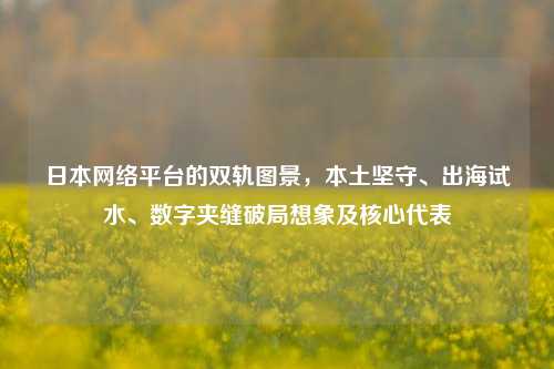 日本网络平台的双轨图景，本土坚守、出海试水、数字夹缝破局想象及核心代表
