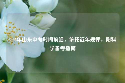 2025年山东中考时间前瞻，依托近年规律，附科学备考指南