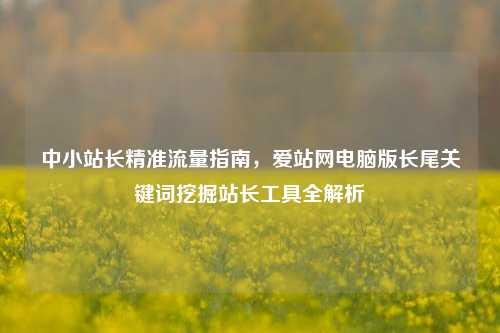 中小站长精准流量指南，爱站网电脑版长尾关键词挖掘站长工具全解析