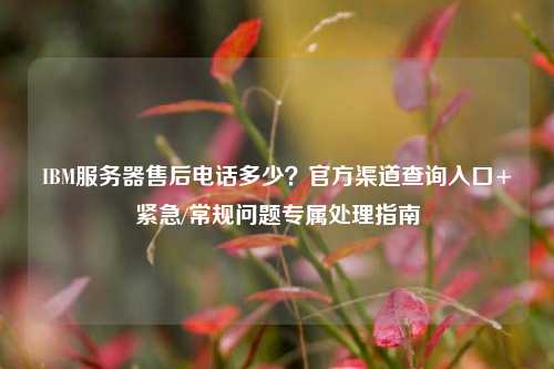 IBM服务器售后电话多少？官方渠道查询入口+紧急/常规问题专属处理指南
