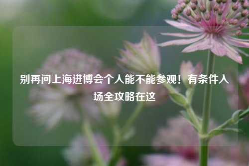 别再问上海进博会个人能不能参观！有条件入场全攻略在这