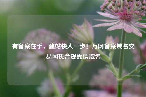 有备案在手，建站快人一步！万网备案域名交易网找合规靠谱域名