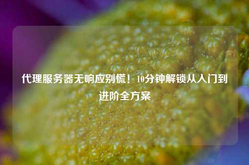代理服务器无响应别慌！10分钟解锁从入门到进阶全方案