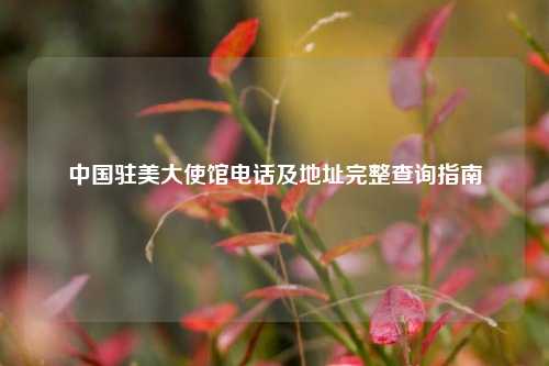 中国驻美大使馆电话及地址完整查询指南