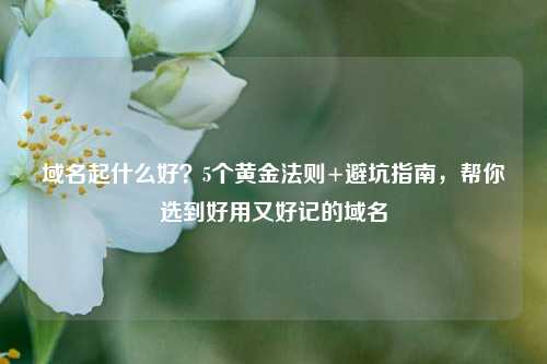 域名起什么好？5个黄金法则+避坑指南，帮你选到好用又好记的域名