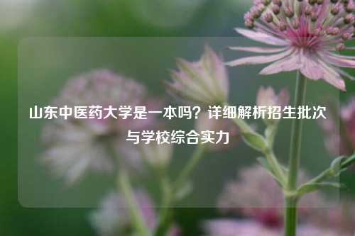 山东中医药大学是一本吗？详细解析招生批次与学校综合实力