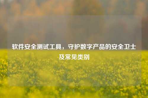 软件安全测试工具，守护数字产品的安全卫士及常见类别
