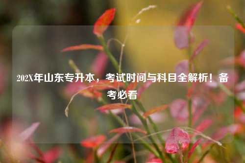 202X年山东专升本，考试时间与科目全解析！备考必看
