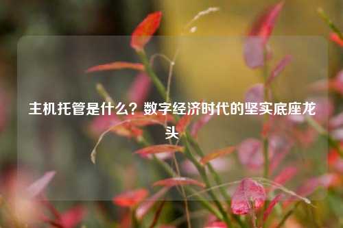 主机托管是什么？数字经济时代的坚实底座龙头