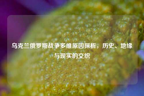 乌克兰俄罗斯战争多维原因探析，历史、地缘与现实的交织