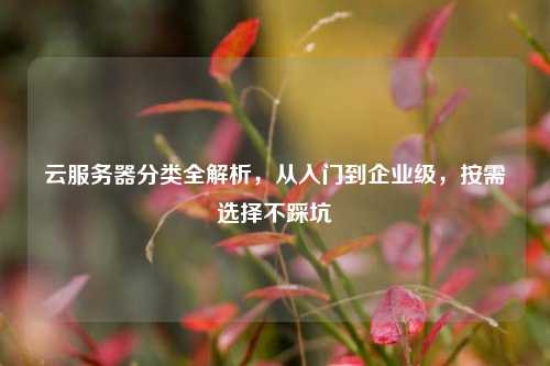 云服务器分类全解析，从入门到企业级，按需选择不踩坑