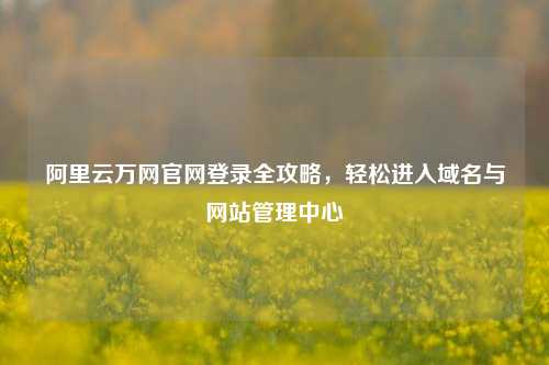阿里云万网官网登录全攻略，轻松进入域名与网站管理中心