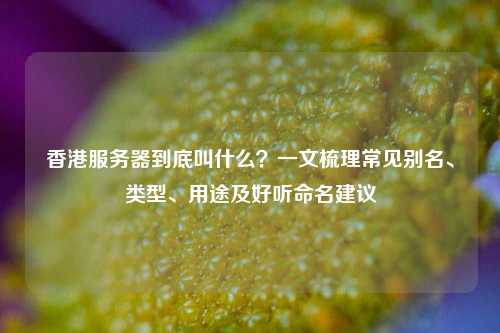 香港服务器到底叫什么？一文梳理常见别名、类型、用途及好听命名建议