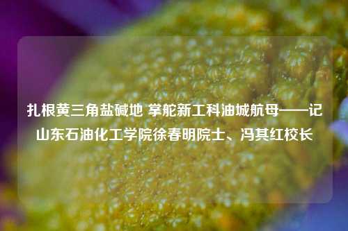 扎根黄三角盐碱地 掌舵新工科油城航母——记山东石油化工学院徐春明院士、冯其红校长