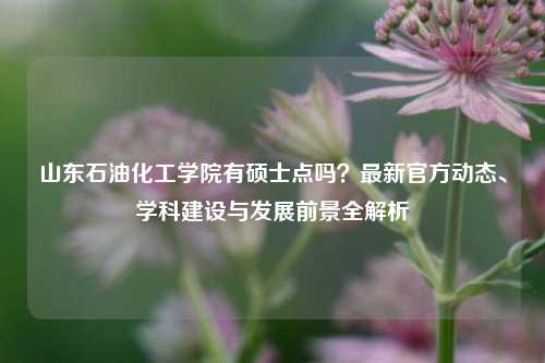 山东石油化工学院有硕士点吗？最新官方动态、学科建设与发展前景全解析