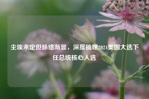 尘埃未定但脉络渐显，深度梳理2024美国大选下任总统核心人选
