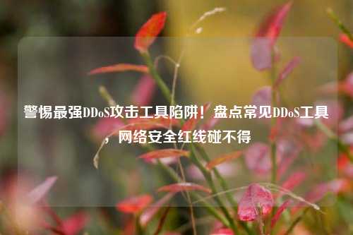 警惕最强DDoS攻击工具陷阱！盘点常见DDoS工具，网络安全红线碰不得