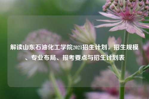 解读山东石油化工学院2021招生计划，招生规模、专业布局、报考要点与招生计划表