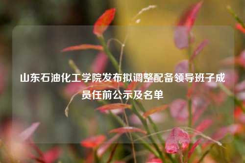山东石油化工学院发布拟调整配备领导班子成员任前公示及名单