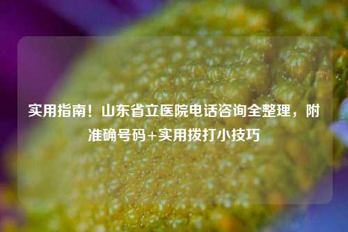实用指南！山东省立医院电话咨询全整理，附准确号码+实用拨打小技巧