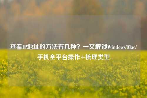 查看IP地址的方法有几种？一文解锁Windows/Mac/手机全平台操作+梳理类型