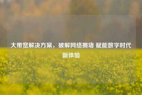 大带宽解决方案，破解网络拥堵 赋能数字时代新体验
