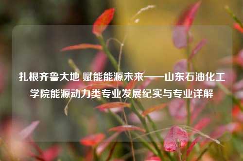 扎根齐鲁大地 赋能能源未来——山东石油化工学院能源动力类专业发展纪实与专业详解