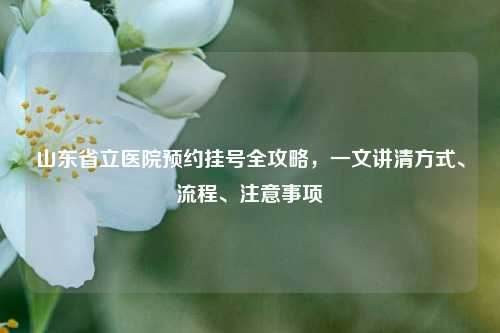 山东省立医院预约挂号全攻略，一文讲清方式、流程、注意事项
