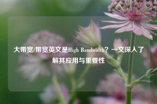 大带宽/带宽英文是High Bandwidth？一文深入了解其应用与重要性