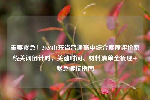 重要紧急！2026山东省普通高中综合素质评价系统关闭倒计时，关键时间、材料清单全梳理+紧急避坑指南