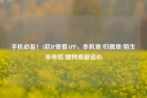 手机必备！5款IP查看APP，本机查/归属查/陌生来电验/蹭网查超省心