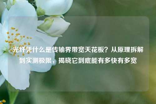 光纤凭什么是传输界带宽天花板？从原理拆解到实测极限，揭晓它到底能有多快有多宽