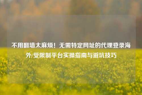 不用翻墙太麻烦！无需特定网址的代理登录海外/受限制平台实操指南与避坑技巧