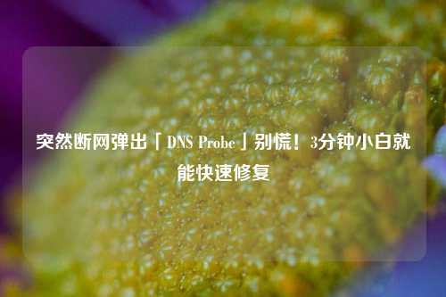 突然断网弹出「DNS Probe」别慌！3分钟小白就能快速修复