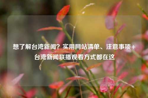 想了解台湾新闻？实用网站清单、注意事项+台湾新闻联播观看方式都在这